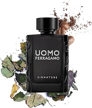 uomo salvatore ferragamo  signature 3.4 oz